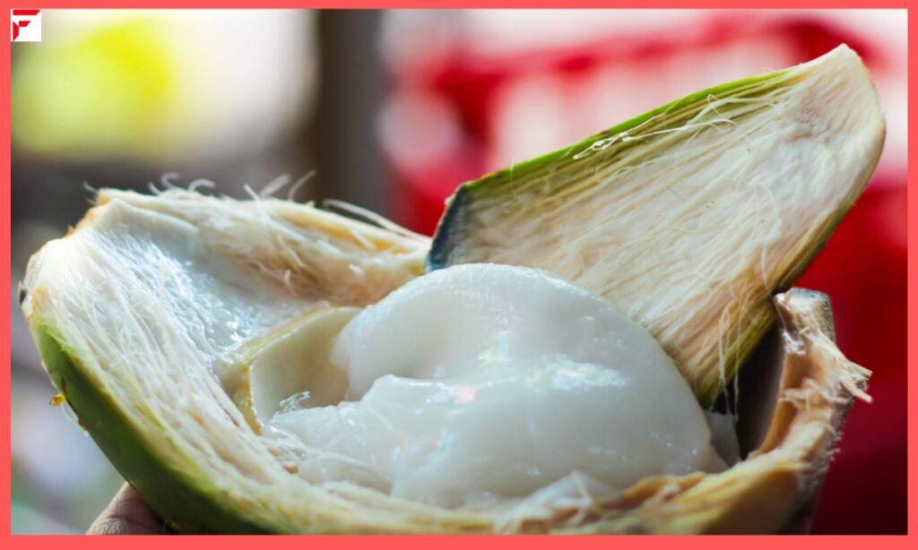 Coconut Meat